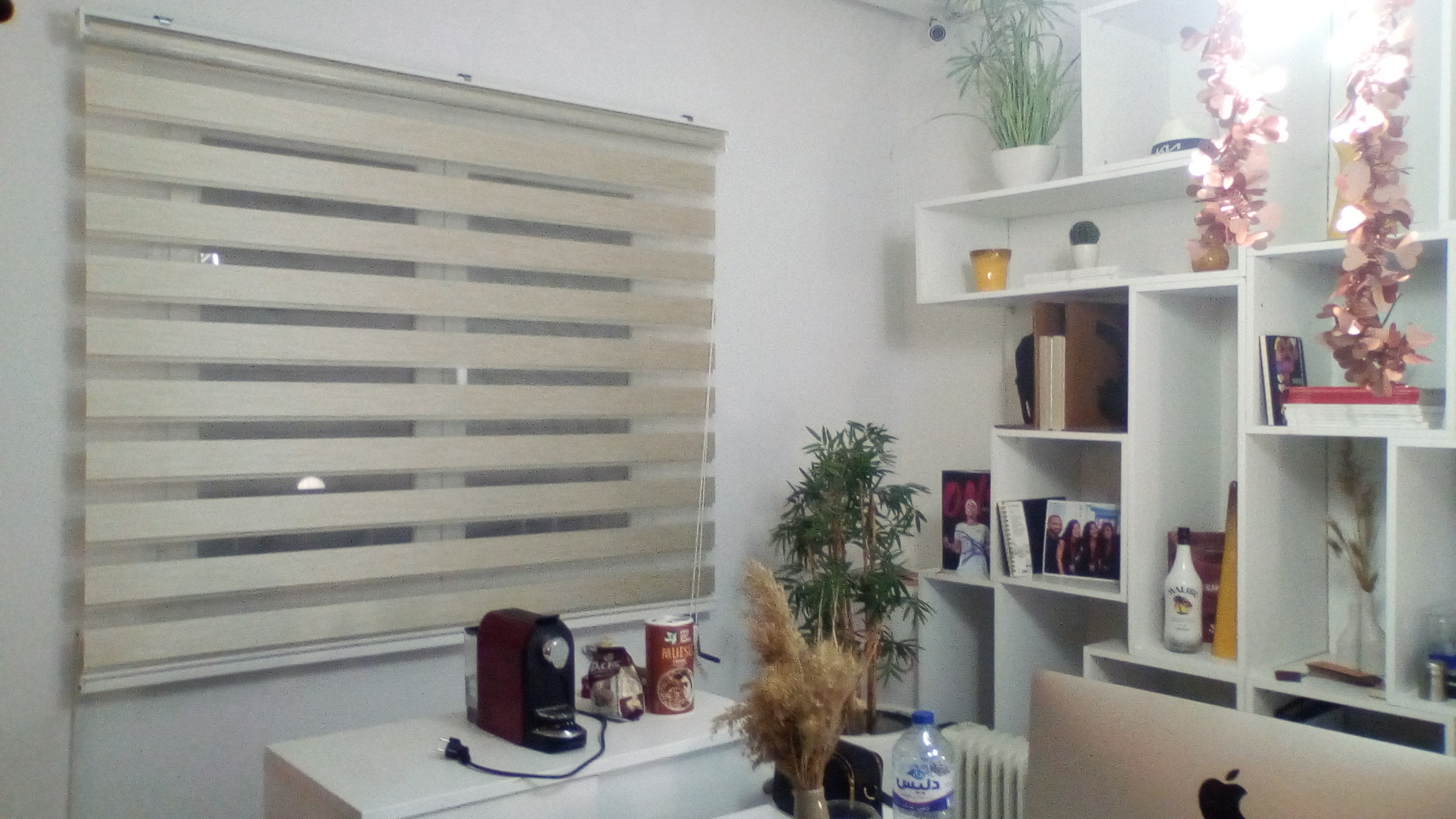 Store Zebra pour bureau